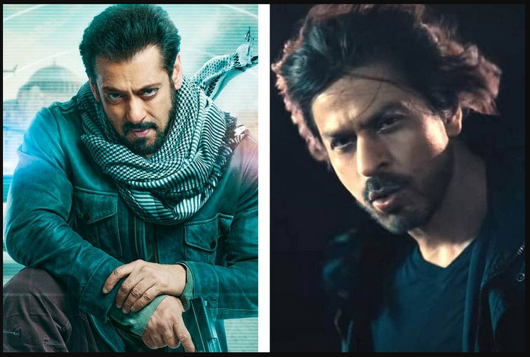 তারকাদের ভিড় সলমনের ‘টাইগার ৩’-তে, শাহরুখ ছাড়াও আছে যারা