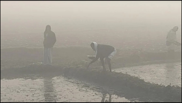 কনকনে শীতের নতুন তথ্য দিলো আবহাওয়া অফিস
