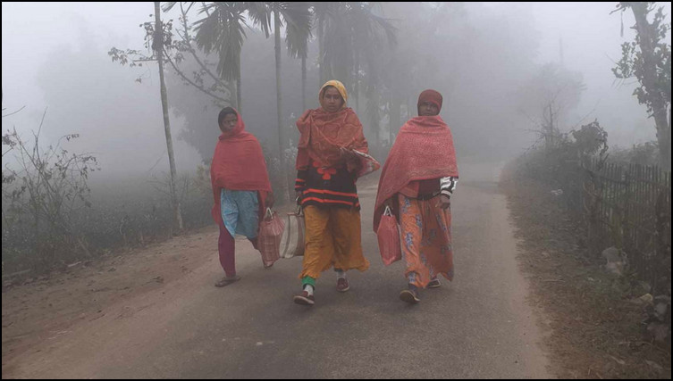 বাড়বে শৈত্যপ্রবাহ নতুন তথ্য দিলো আবহাওয়া অফিস