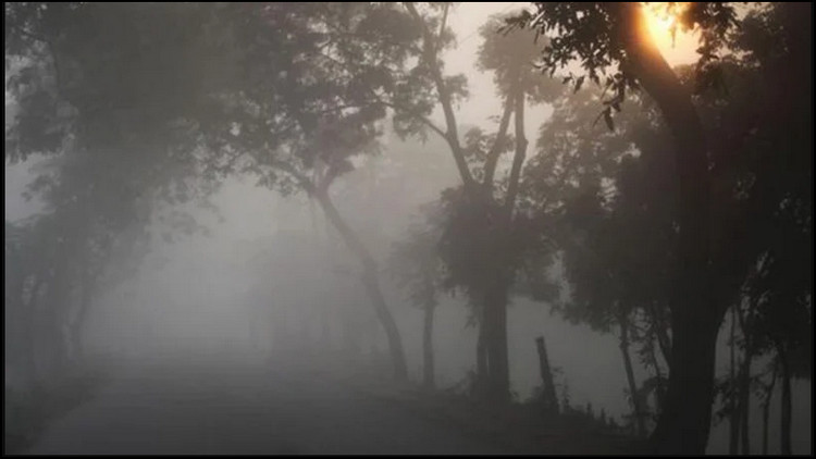 তীব্র শীতের নতুন আভাস দিলো আবহাওয়া অফিস!