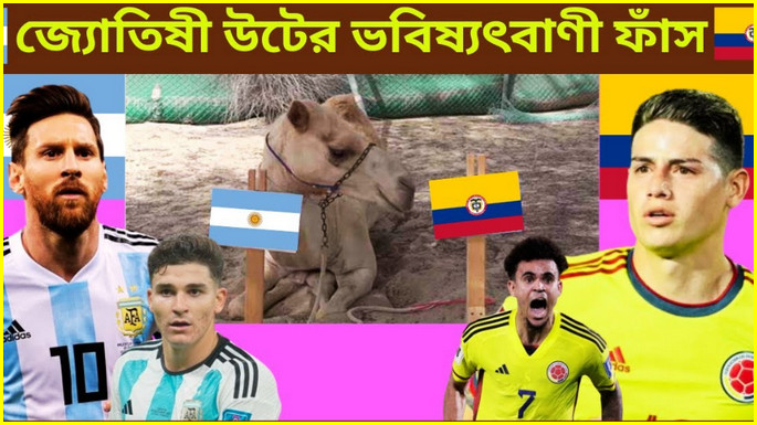 কলম্বিয়ার পক্ষ নিয়ে আর্জেন্টিনা বনাম কলম্বিয়ার ম্যাচের অবিশ্বাস্য ভবিষ্যৎবাণী করলেন জ্যোতিষী উট