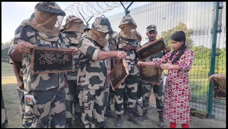 উ'ত্তে'জ'না'র মাঝেই বাংলাদেশ সীমান্তে ভারতের মৌমাছি মোতায়েন