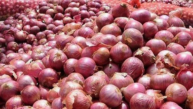 ব্রেকিং নিউজ ; এক লাফে পেঁয়াজের দাম যত টাকা কমলো