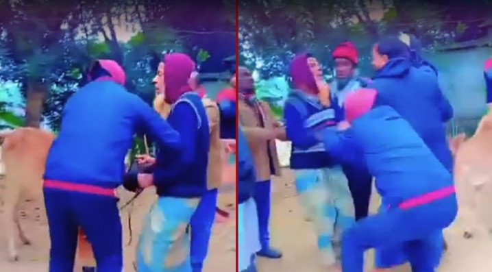 বৃদ্ধাকে মারধর করে গরু ছিনিয়ে নিল বিএনপি নেতারা (ভিডিওসহ)