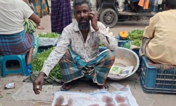 দিনে দুপুরে প্রকাশ্যে শিয়ালের মাংস বিক্রি