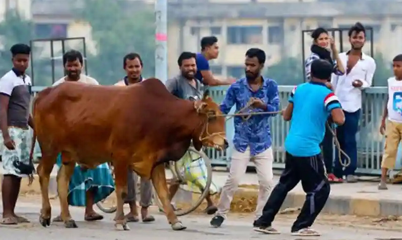 কোরবানির ঈদে লোডশেডিং ও যানজট নিয়ে যা জানা গেল
