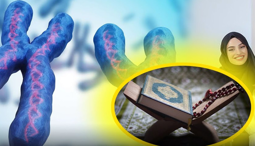 গর্ভে সন্তানের লিঙ্গ নির্ধারণে কোরআনের আবাক করা তথ্য