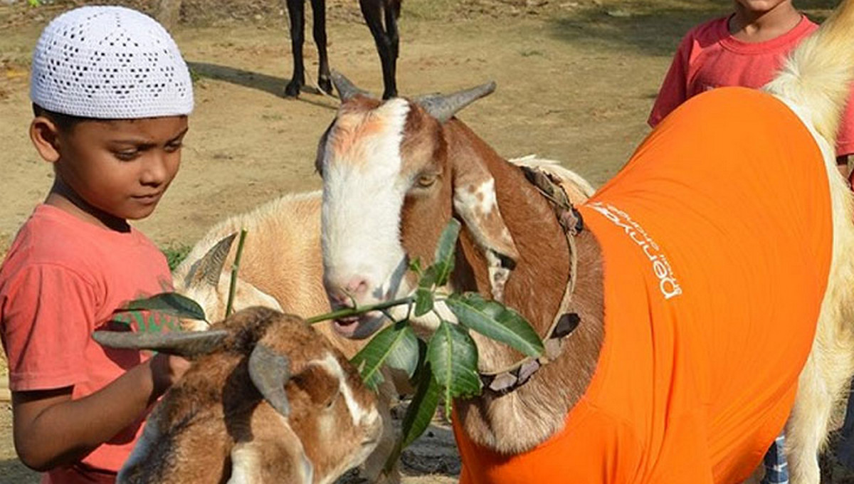 ঈদুল আজহা হতে পারে ৬ জুন, সরকারি ছুটি মিলতে পারে টানা চার দিন