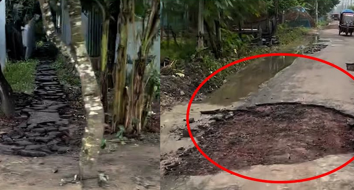 সরকারি সড়ক ভেঙে ব্যক্তিগত রাস্তা, ভাইরাল ভিডিও