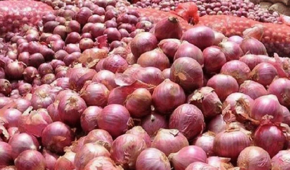 পেঁয়াজের দাম কমবে! ৮ মাস পর আমদানি শুরু