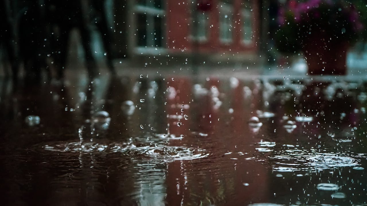 আজ থেকে বাড়বে বৃষ্টি, ৩ দিন থাকবে