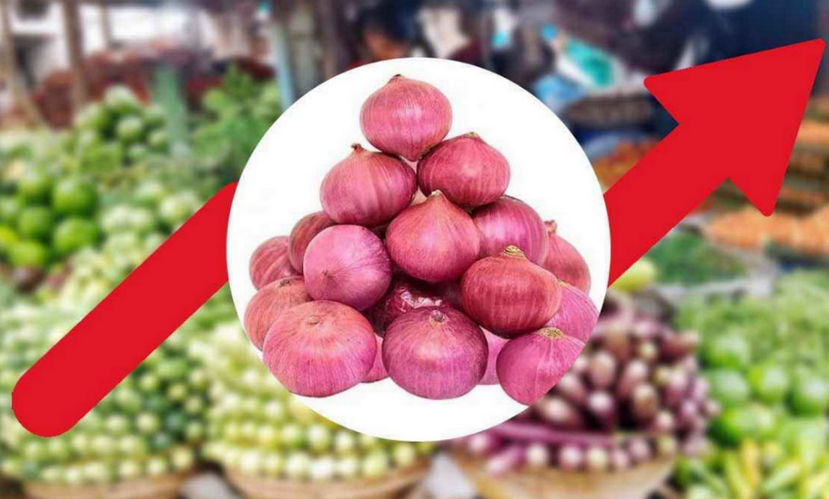 আজকের বাজার দর: চাল, ডাল, তেল, মাছ, মাংস ও সবজির দাম