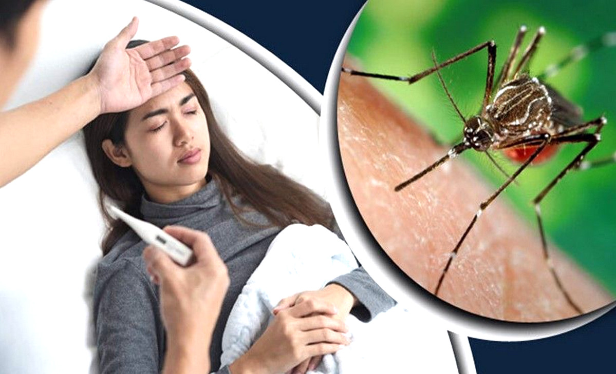 ৪ টি লক্ষণ দেখলে বুঝবেন আপনার চিকুনগুনিয়া হয়েছে