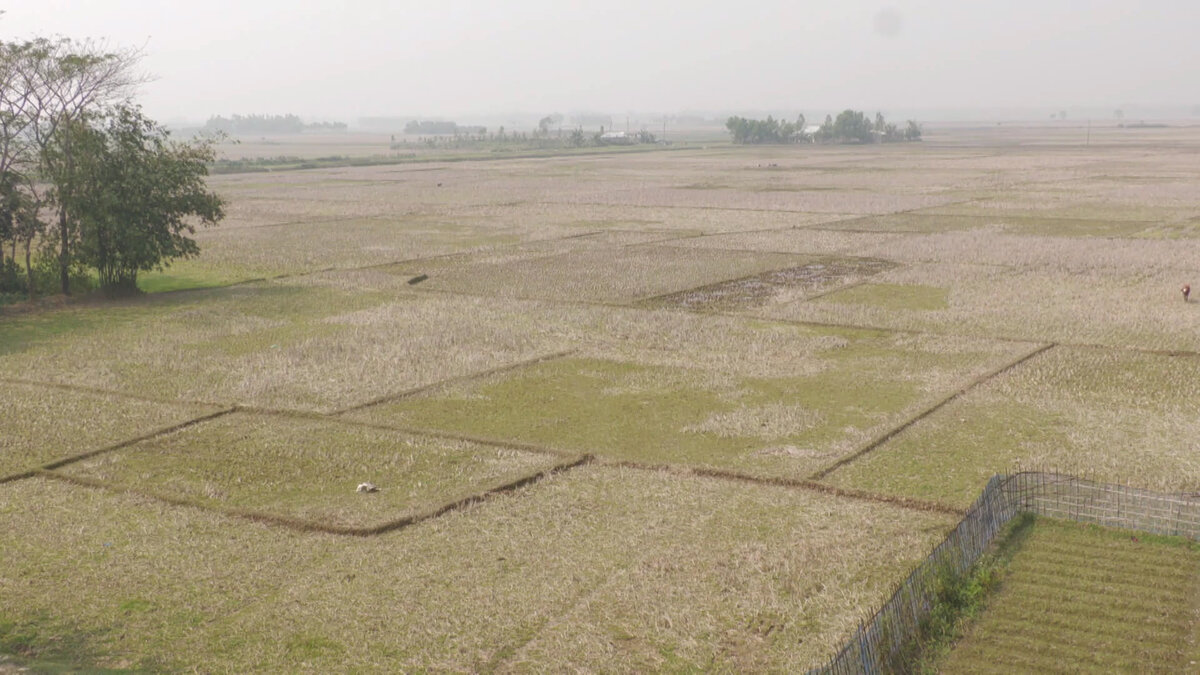 ঘরে বসে জমির মৌজা ম্যাপ বের করুন সহজে