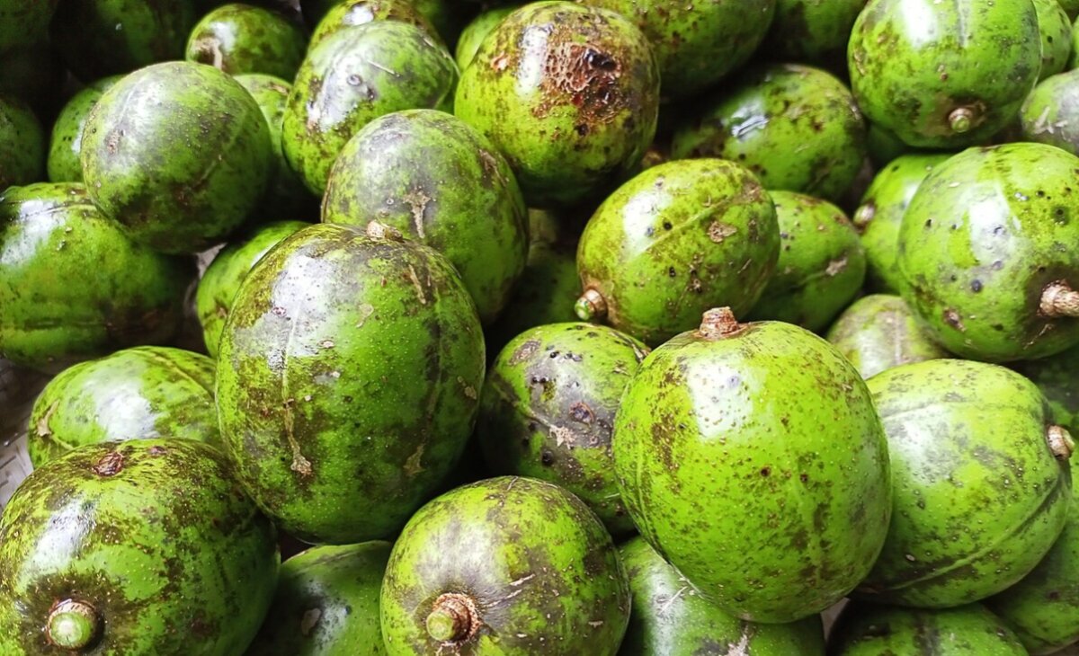 আমড়া খাওয়ার ১০ উপকারিতা:, লাখ টাকার ওষুধ ফেল
