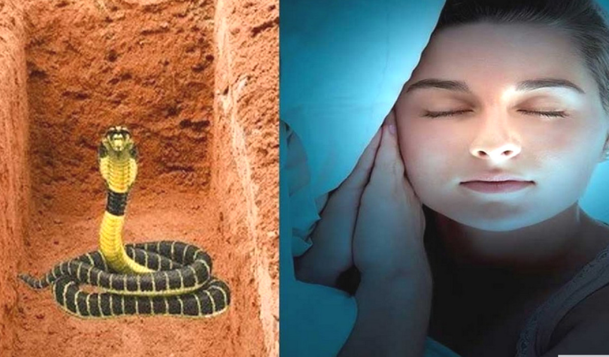 স্বপ্নে সাপ দেখলে কী হয়: ইসলামের নির্দেশনা ও করণীয়