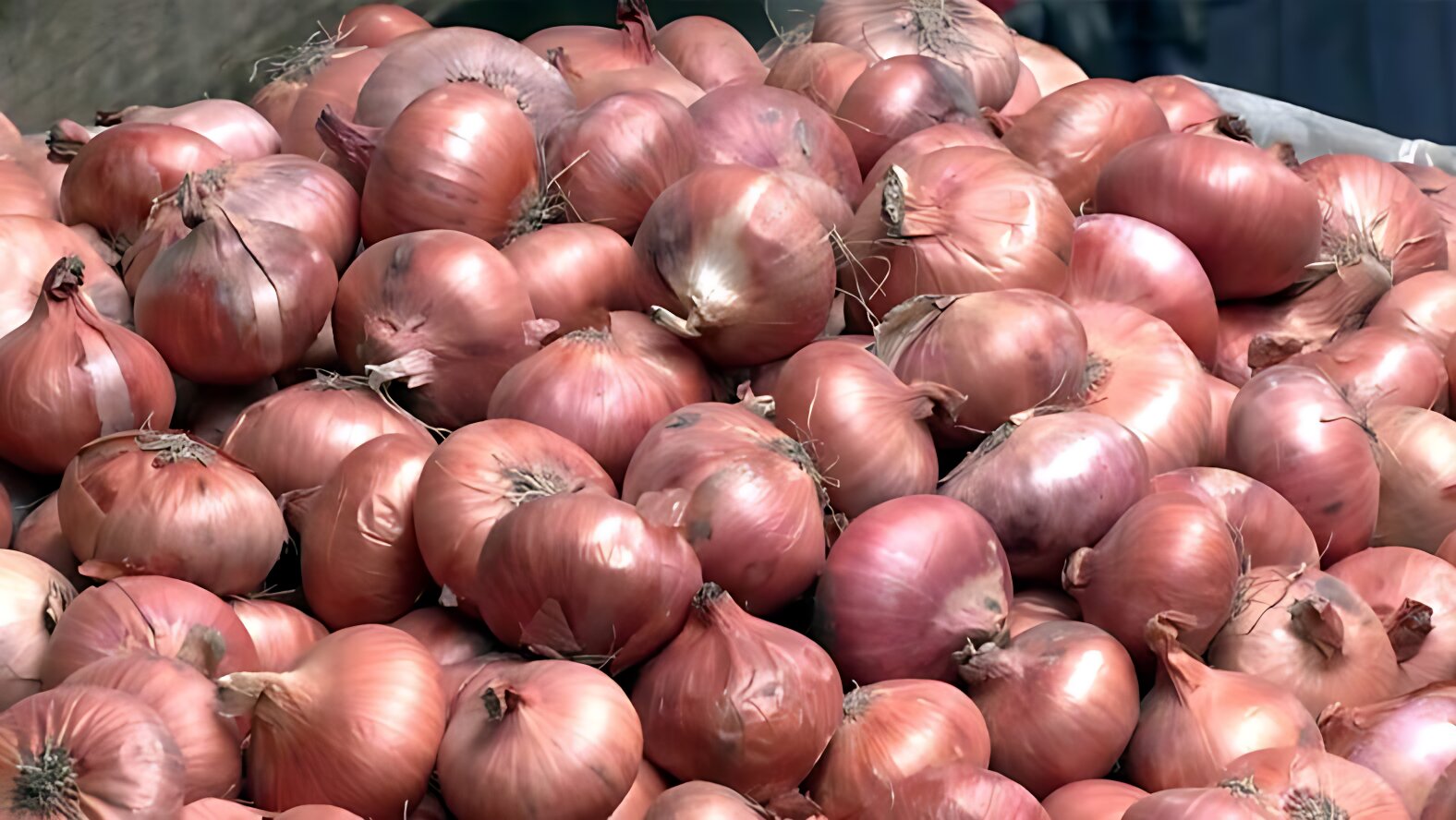 হু হু করে বাড়ল পেঁয়াজের দাম