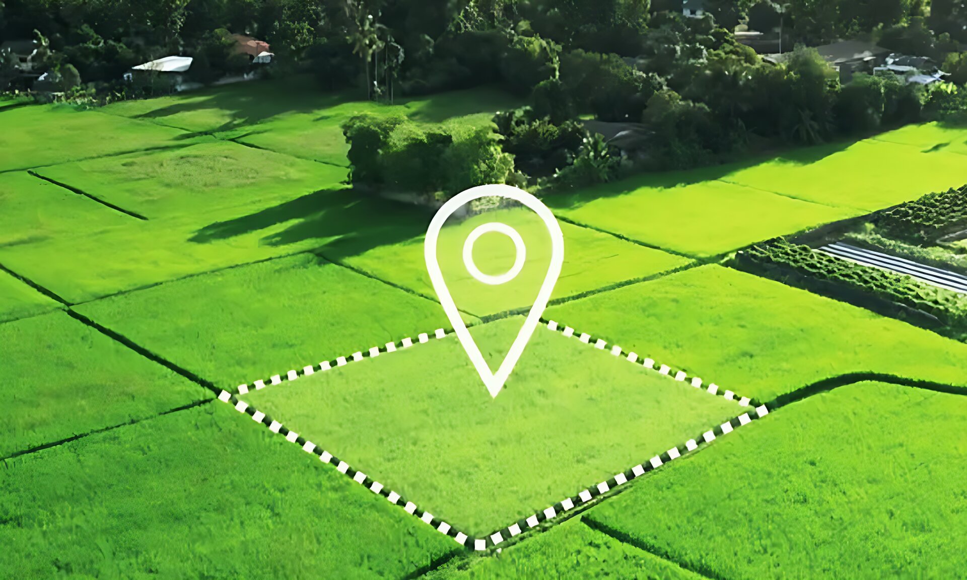 পৃথিবীর সব জমি সমান ভাগ করলে মাথাপিছু কতটুকু জমি পাওয়া যাবে