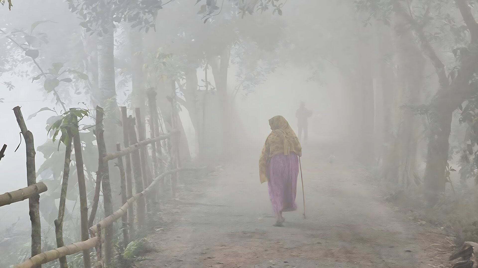 আসছে শীতের আমেজ: আগামী পাঁচ দিন আবহাওয়ার খবর