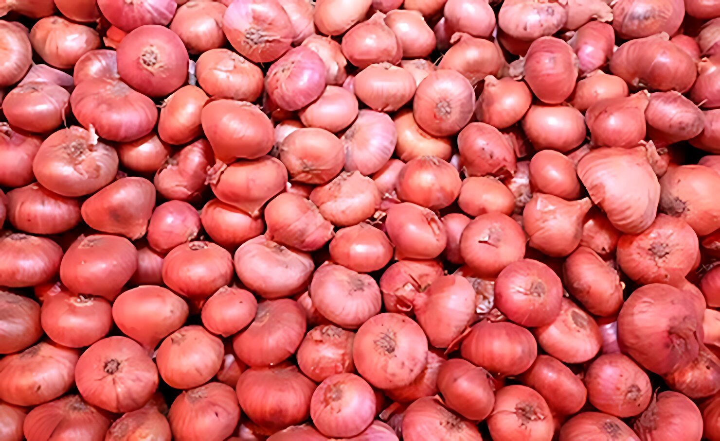 পেঁয়াজের দাম কেজিতে বাড়ল ৩০ টাকা, স্বস্তি মোটা চাল ও ডিমে