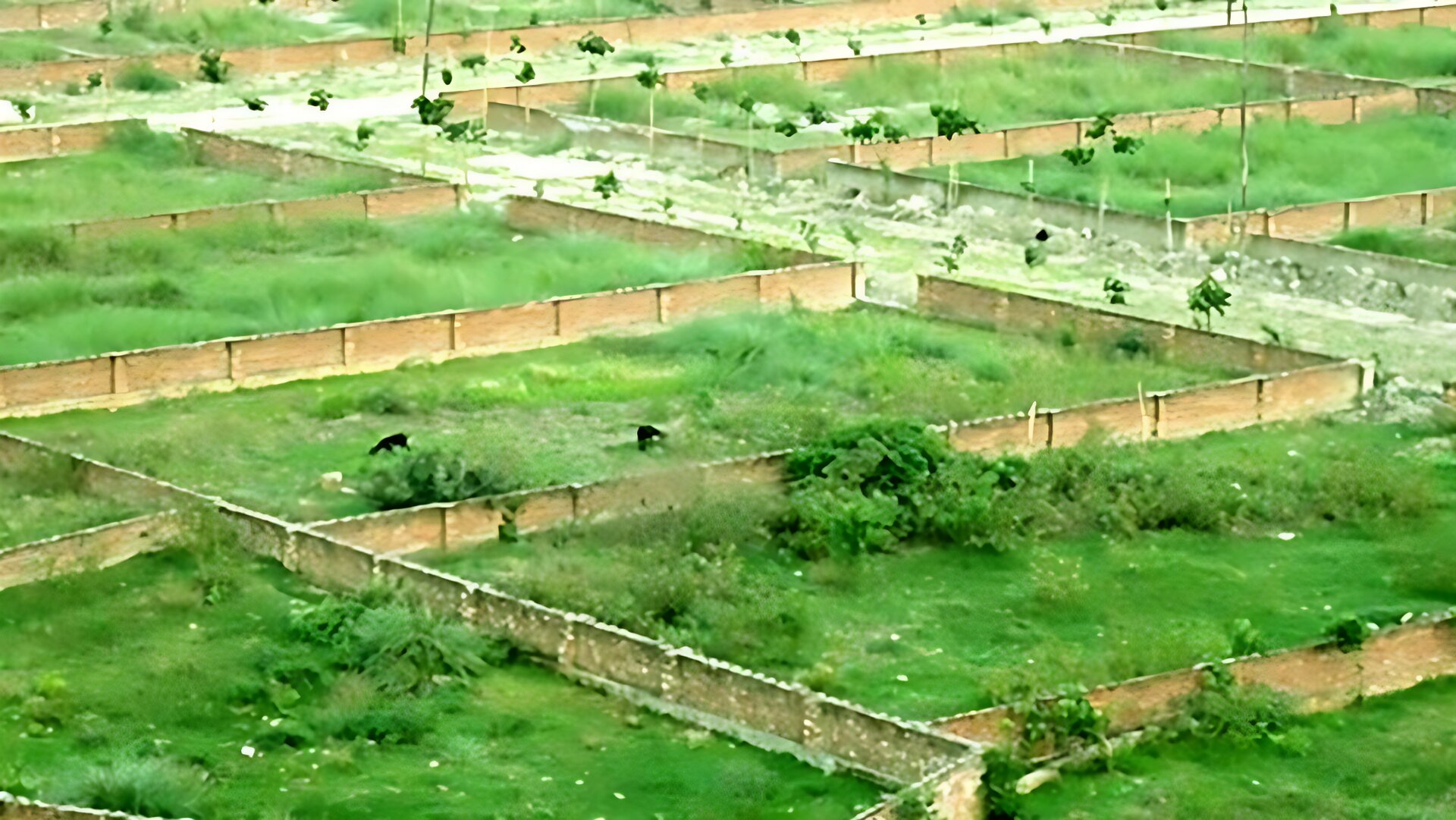 জোরপূর্বক জমি দখল হলে কী করবেন