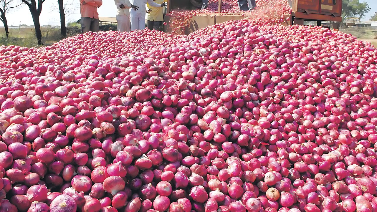 পেঁয়াজের দাম নিয়ে এলো দুঃসংবাদ