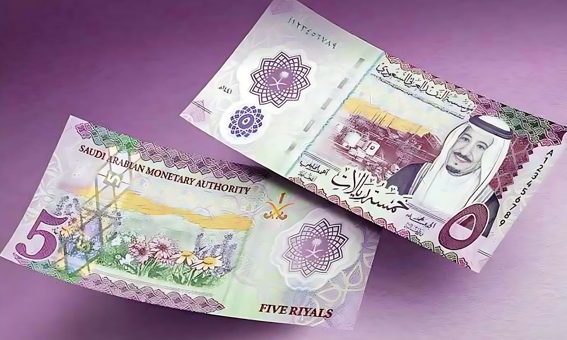 লাফিয়ে কমলো সৌদি রিয়ালের বিনিময় হার