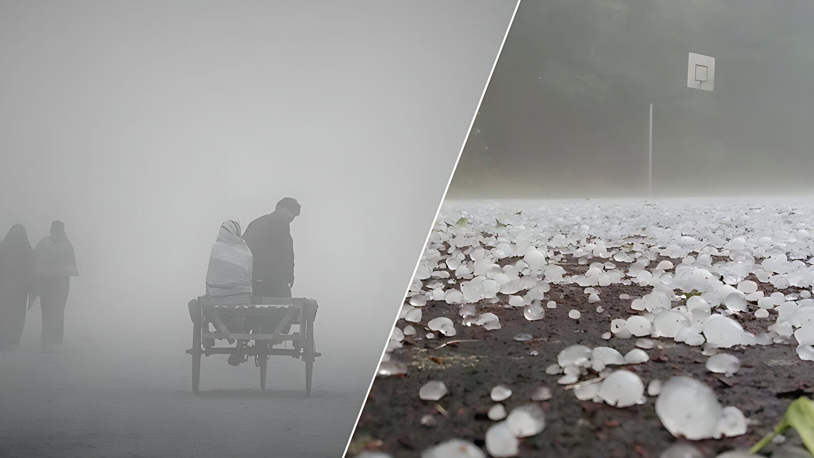 শিলাবৃষ্টিসহ আসছে তীব্র শৈত্যপ্রবাহ, তাপমাত্রা নামবে ৪ ডিগ্রিতে