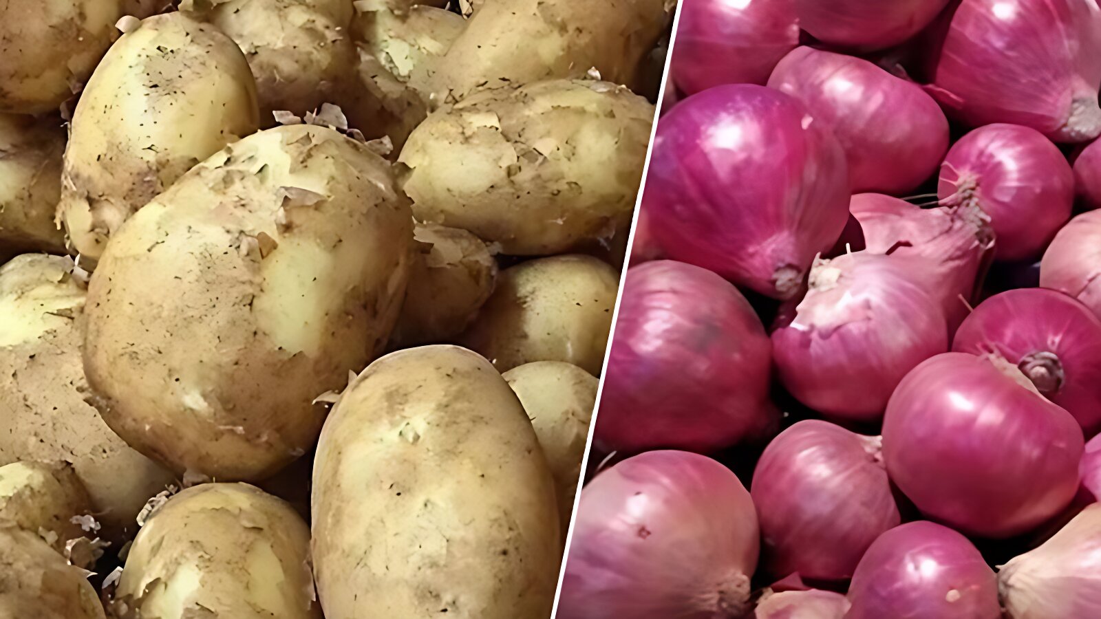 আলু ও নতুন পেঁয়াজের দাম আরও কমলো