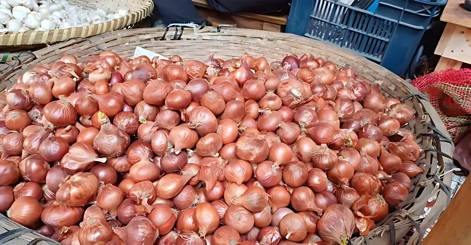 পেঁয়াজের দামে বড় ধস: চার দিনে কেজিতে কমলো ৪০ টাকা