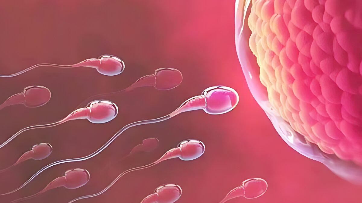 সাবধান! এই ৫টি খাবার পুরুষদের শুক্রাণু ৫০% কমিয়ে দিতে পারে