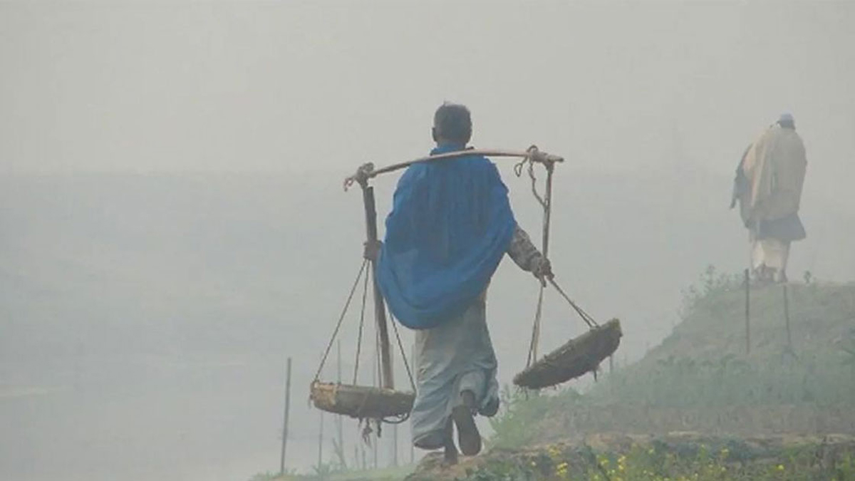 শীতের তীব্রতা আরও বাড়বে: যেসব জেলায় শৈত্যপ্রবাহ অব্যাহত থাকার পূর্বাভাস