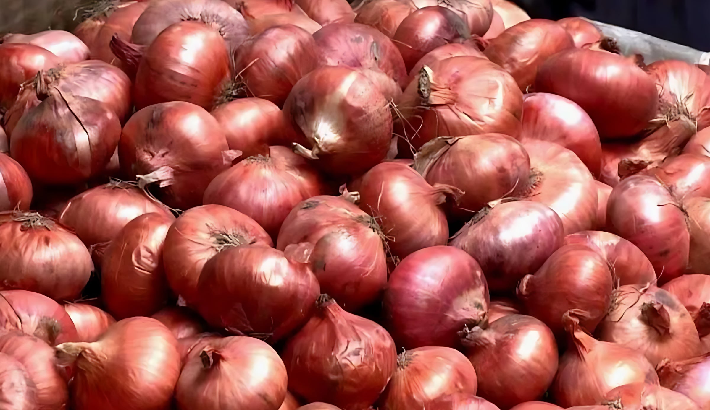 দাম কমে যত টাকা হলো পেঁয়াজের দাম