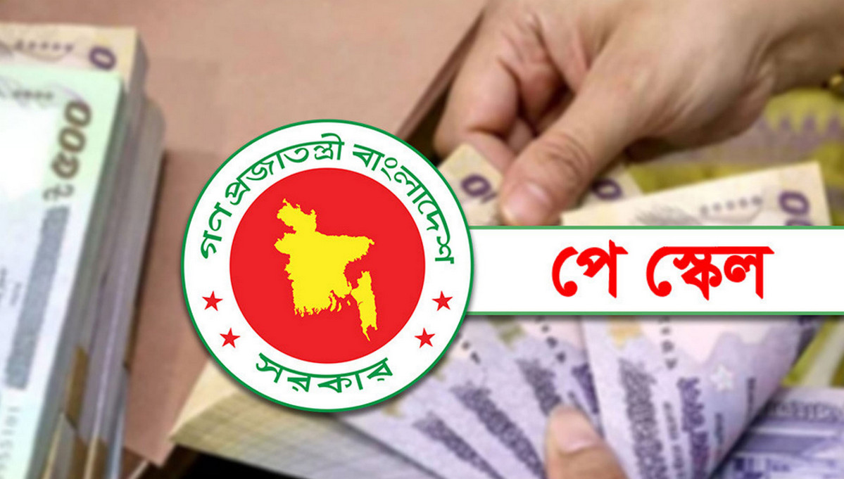 নবম পে স্কেল ও বাড়তি বেতন: যা জানালেন অর্থমন্ত্রী আমীর খসরু