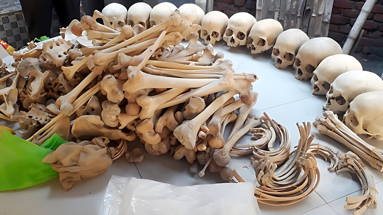 ঢাকায় ৪৭টি মাথার খুলি, হাড়-কঙ্কাল উদ্ধার: যা জানা গেলো