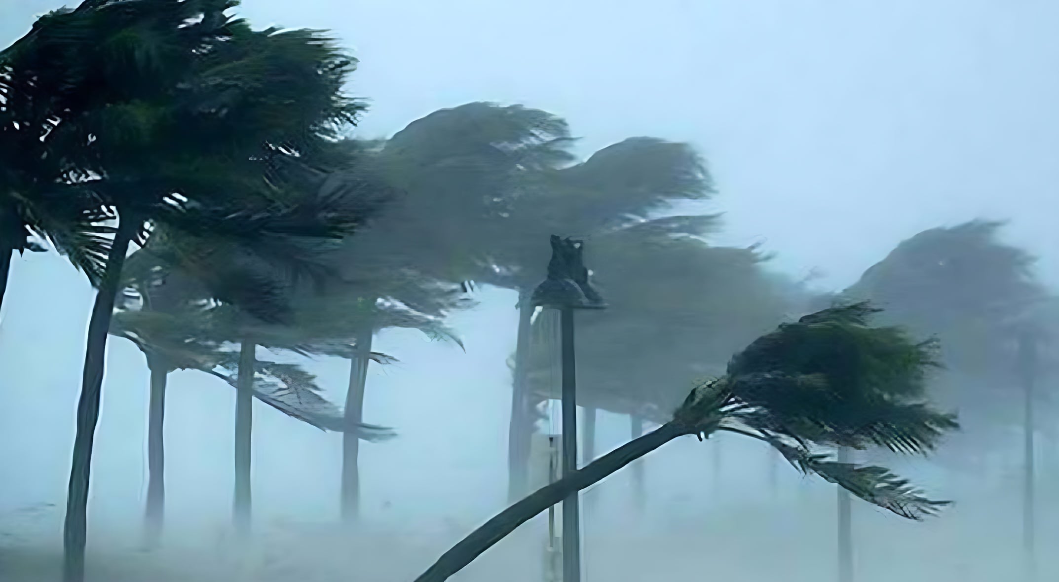 বৃষ্টিবলয় ‘গোধূলি’: ৮০ কিমি বেগে ঝড়ের পূর্বাভাস ও সতর্কবার্তা