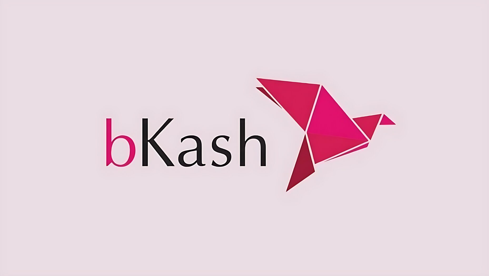 এবার বিকাশ গ্রাহকদের জন্য সুখবর