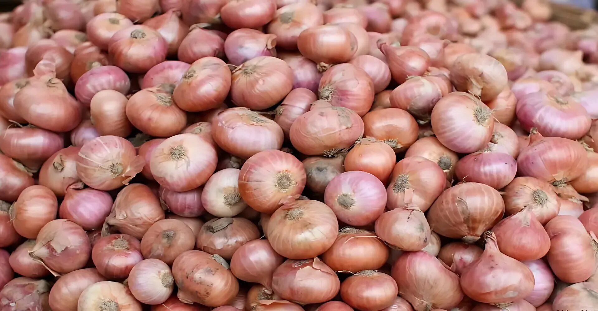 হিলিতে লাফিয়ে বাড়ল দেশি পেঁয়াজের দাম