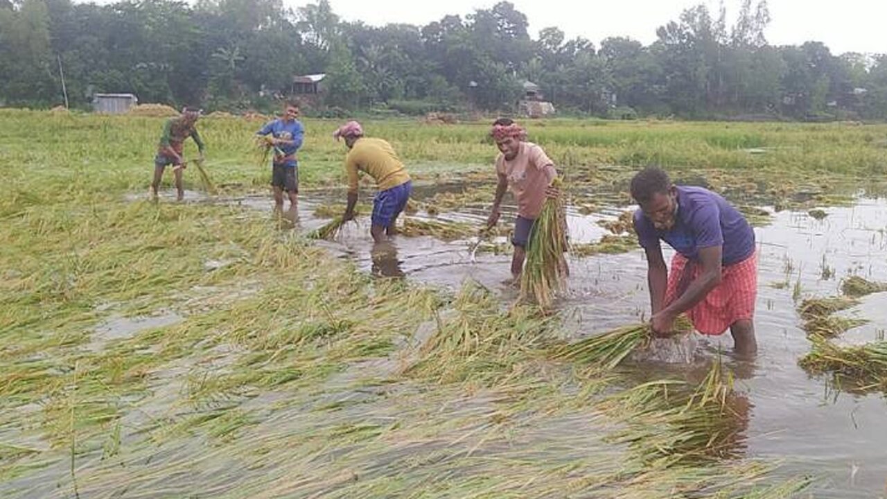 সারাদেশের কৃষকদের জন্য স্বস্তির খবর