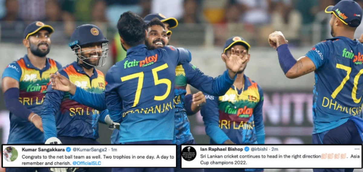 পাকিস্তানের হার নিয়ে টুইটারে চলছে সমালোচনার ঝড়