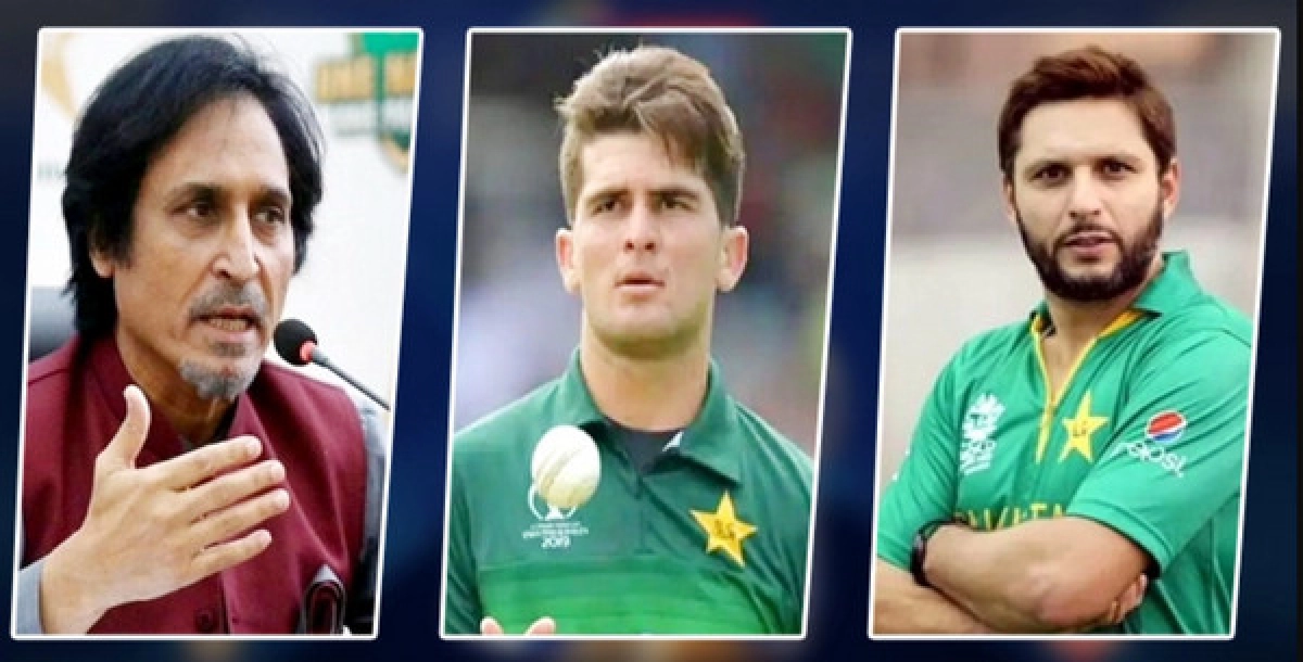 শাহিনকে নিয়ে আফ্রিদির অভিযোগ উড়িয়ে দিলেন পিসিবি