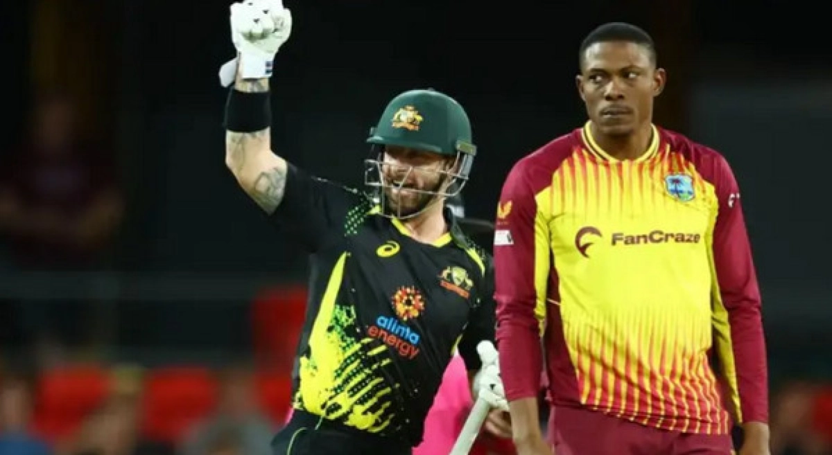 ওয়েষ্ট ইন্ডিজ কে উড়িয়ে দিয়ে সিরিজ জয় করলো অজিরা