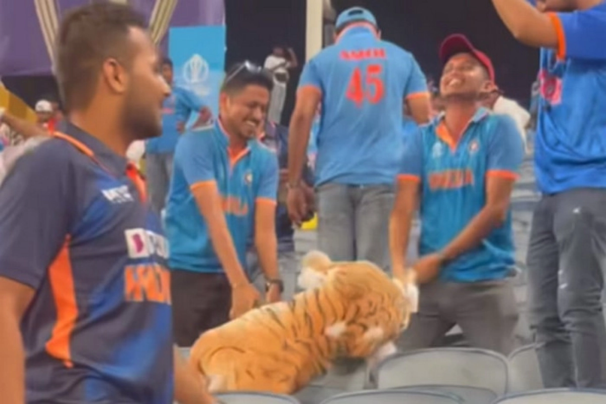 শোয়েবের বাঘ ছিঁড়ে দিল ভারতীয় সমর্থকরা