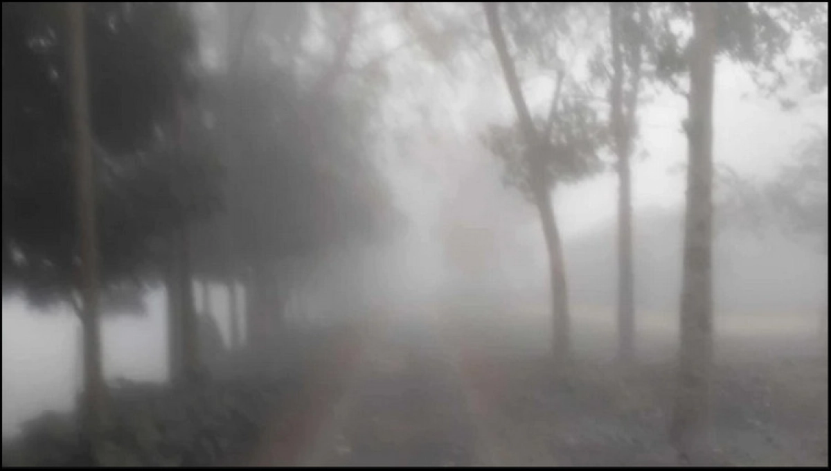 আবারও বাড়তে শুরু করেছে শীত!