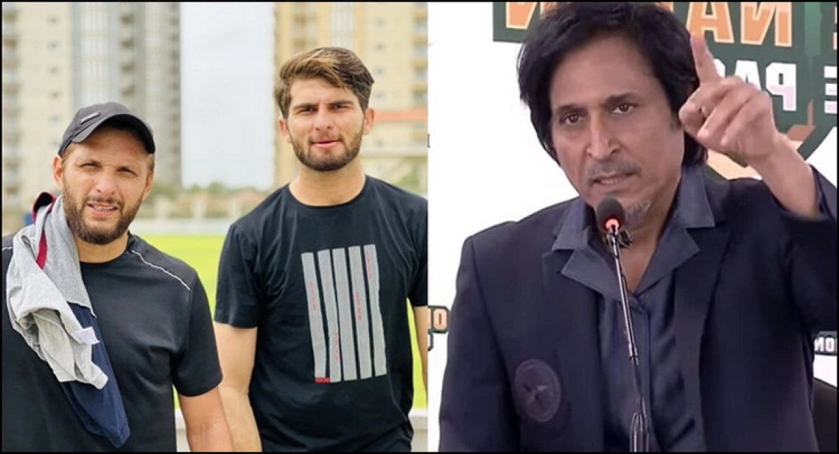 আফ্রিদির নেতৃত্ব নিয়ে পাকিস্তানের রঙের খেলা, পিসিবিকে ধুয়ে দিলেন শ্বশুর