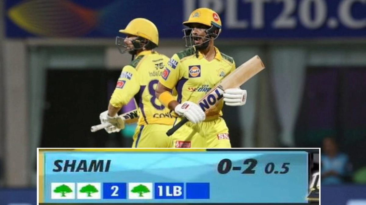 আইপিএলে ডট বলের কারণে গাছ কেন?