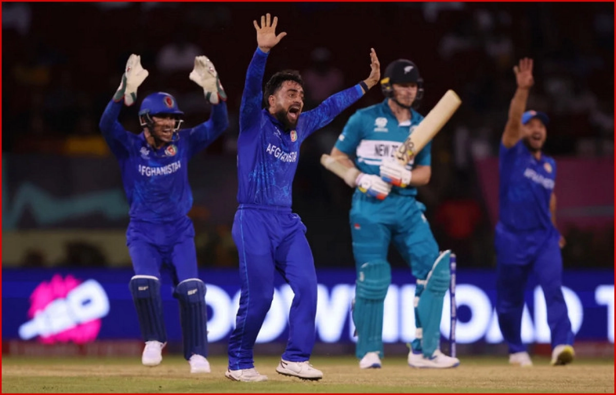 নিউজিল্যান্ডকে বড় লজ্জায় ডুবাল আফগানিস্তান