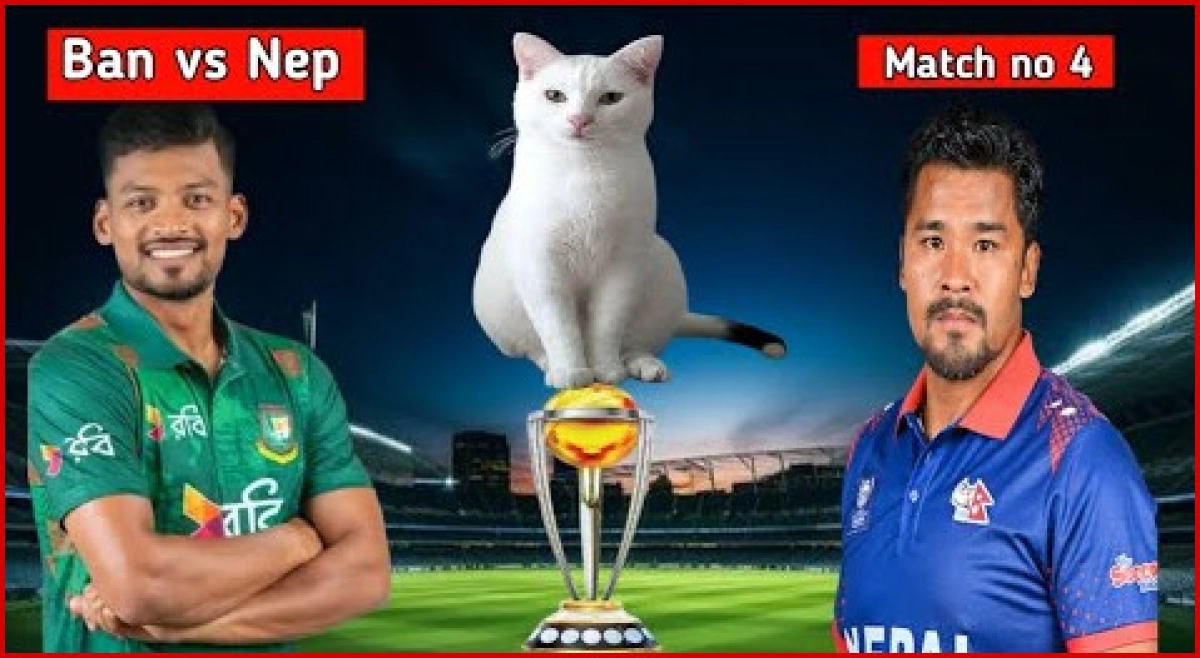 ব্রেকিং নিউজ ; বাংলাদেশ বনাম নেপালের ম্যাচে কোন দল জিতবে আগেই জানিয়ে দিলো জ্যোতিষী বিড়াল