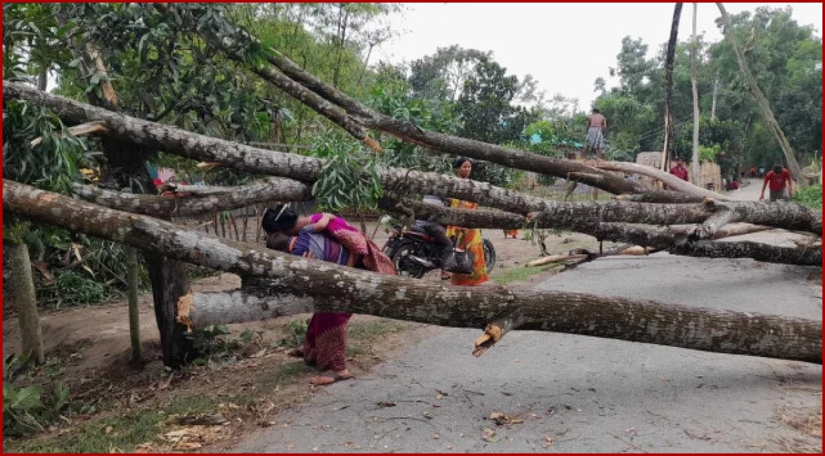 হঠাৎ ৫ মিনিটের ঝড়ে এলাকা লন্ডভন্ড