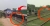 ট্রেনের নিচে ঝাঁপ দেওয়া বৃদ্ধের আসল কারণ জানালেন প্রত্যক্ষদর্শীরা